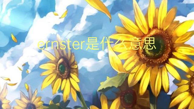 ernster是什么意思 ernster的翻译、读音、例句、中文解释