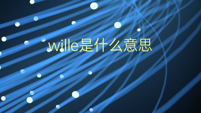 wille是什么意思 wille的翻译、读音、例句、中文解释