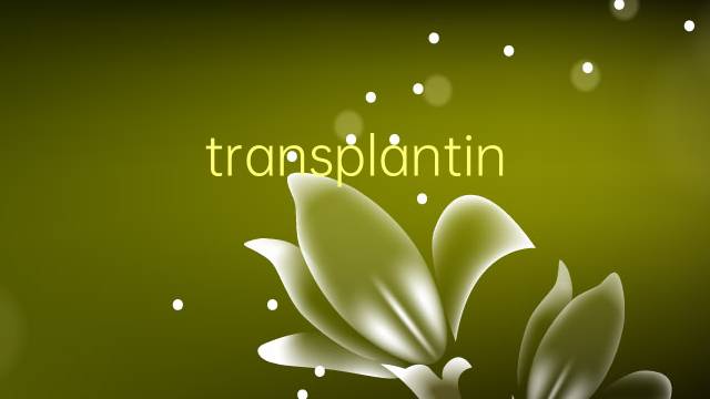 transplanting是什么意思 transplanting的翻译、读音、例句、中文解释