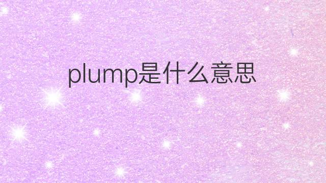 plump是什么意思 plump的翻译、读音、例句、中文解释