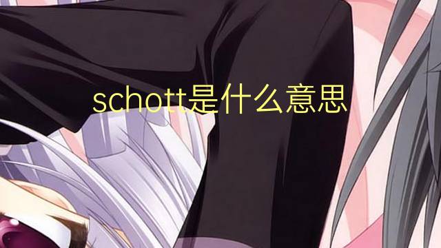 schott是什么意思 schott的翻译、读音、例句、中文解释