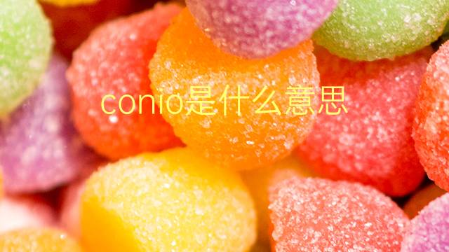 conio是什么意思 conio的翻译、读音、例句、中文解释