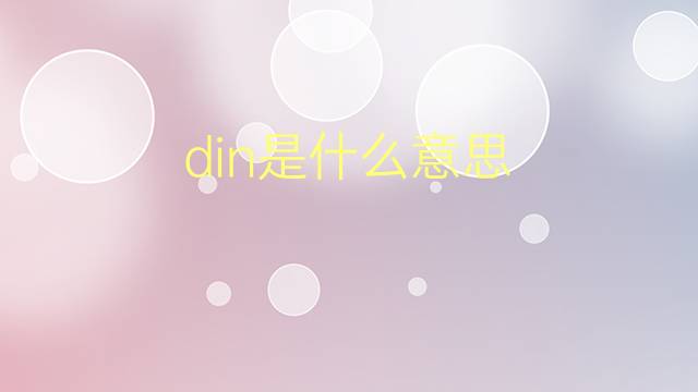 din是什么意思 din的翻译、读音、例句、中文解释