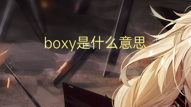 boxy是什么意思 boxy的翻译、读音、例句、中文解释