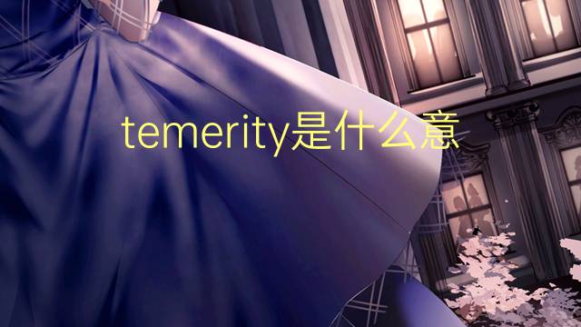 temerity是什么意思 temerity的翻译、读音、例句、中文解释