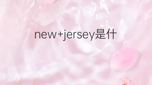 new+jersey是什么意思 new+jersey的翻译、读音、例句、中文解释