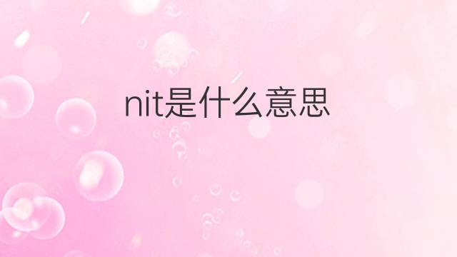 nit是什么意思 nit的翻译、读音、例句、中文解释