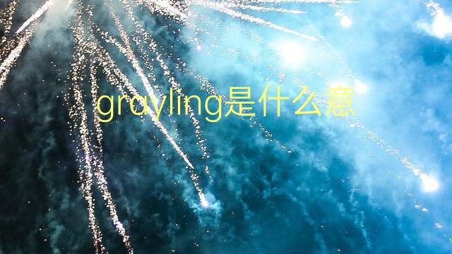 grayling是什么意思 英文名grayling的翻译、发音、来源