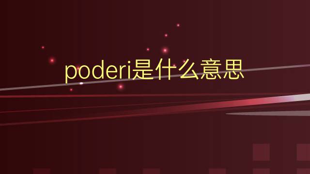 poderi是什么意思 poderi的翻译、读音、例句、中文解释