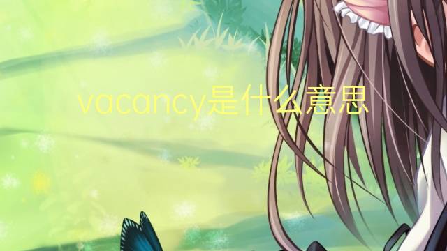 vacancy是什么意思 vacancy的翻译、读音、例句、中文解释