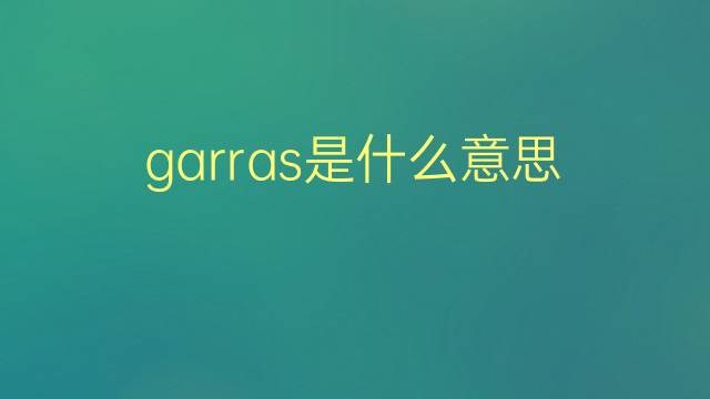 garras是什么意思 garras的翻译、读音、例句、中文解释