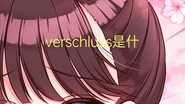 verschluss是什么意思 verschluss的翻译、读音、例句、中文解释