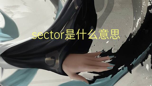 sector是什么意思 sector的翻译、读音、例句、中文解释