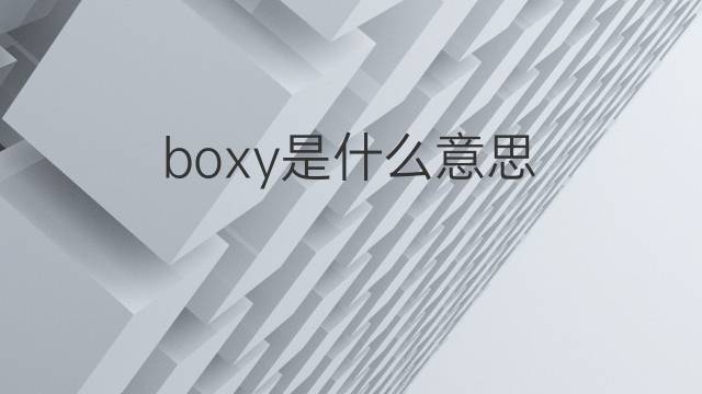 boxy是什么意思 boxy的翻译、读音、例句、中文解释