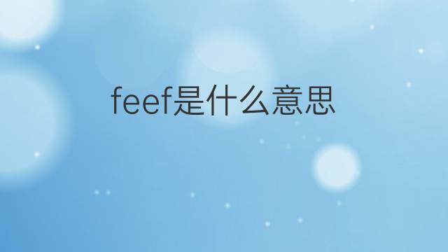 feef是什么意思 feef的翻译、读音、例句、中文解释