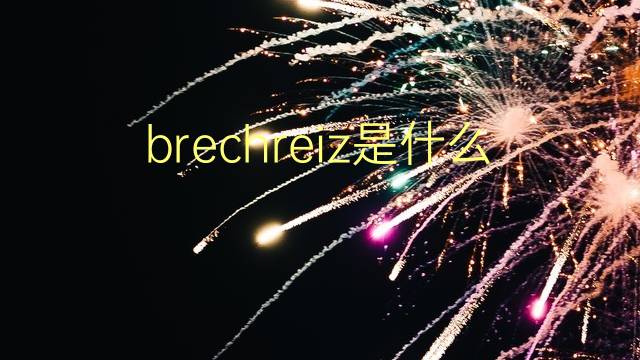 brechreiz是什么意思 brechreiz的翻译、读音、例句、中文解释