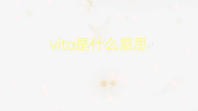 vita是什么意思 vita的翻译、读音、例句、中文解释