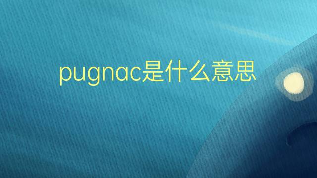 pugnac是什么意思 pugnac的翻译、读音、例句、中文解释