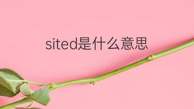 sited是什么意思 sited的翻译、读音、例句、中文解释