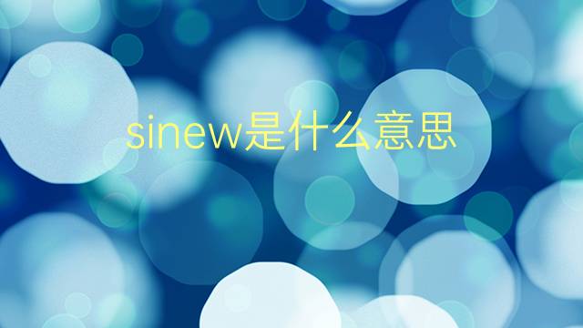 sinew是什么意思 sinew的翻译、读音、例句、中文解释