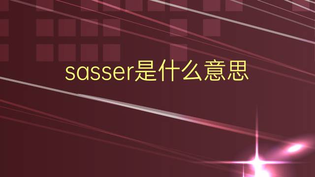 sasser是什么意思 英文名sasser的翻译、发音、来源