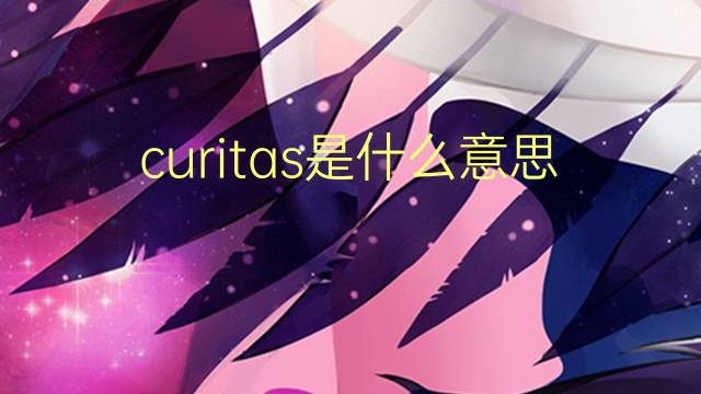 curitas是什么意思 curitas的翻译、读音、例句、中文解释