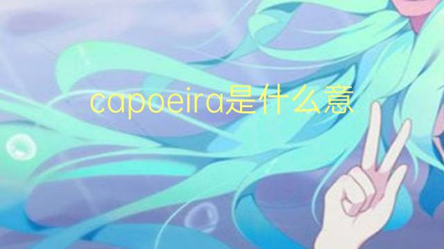 capoeira是什么意思 capoeira的翻译、读音、例句、中文解释