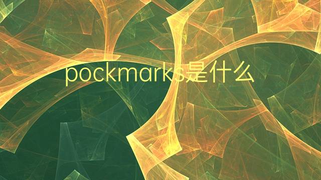 pockmarks是什么意思 pockmarks的翻译、读音、例句、中文解释