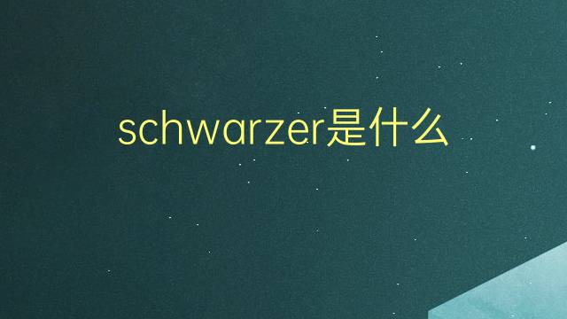 schwarzer是什么意思 schwarzer的翻译、读音、例句、中文解释