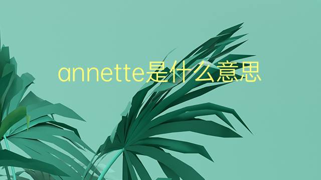 annette是什么意思 annette的翻译、读音、例句、中文解释