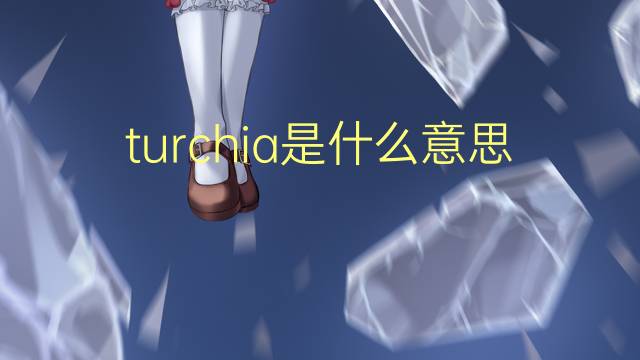 turchia是什么意思 turchia的翻译、读音、例句、中文解释