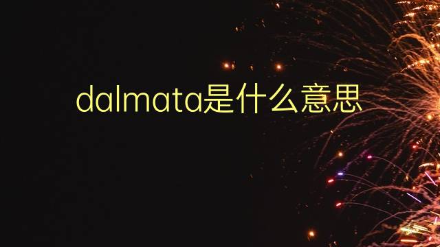 dalmata是什么意思 dalmata的翻译、读音、例句、中文解释