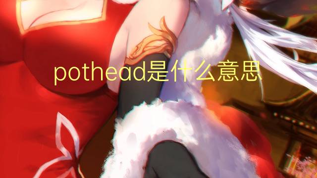 pothead是什么意思 pothead的翻译、读音、例句、中文解释