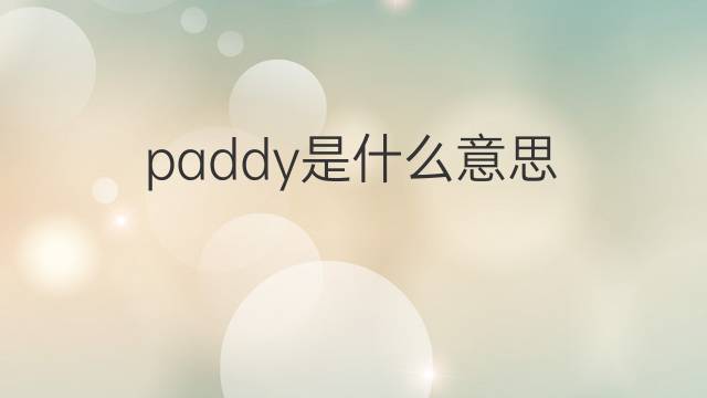 paddy是什么意思 paddy的翻译、读音、例句、中文解释