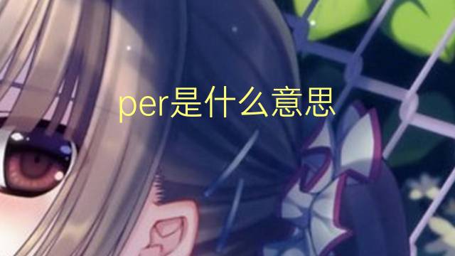 per是什么意思 per的翻译、读音、例句、中文解释