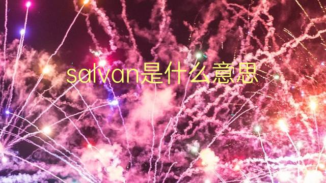 salvan是什么意思 salvan的翻译、读音、例句、中文解释