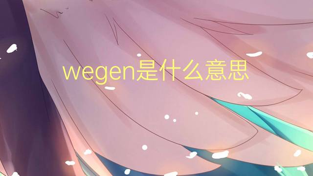 wegen是什么意思 wegen的翻译、读音、例句、中文解释