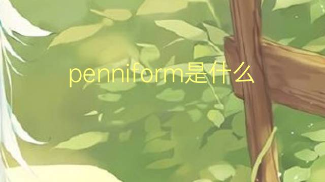 penniform是什么意思 penniform的翻译、读音、例句、中文解释