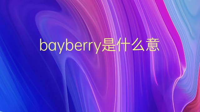 bayberry是什么意思 bayberry的翻译、读音、例句、中文解释