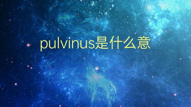 pulvinus是什么意思 pulvinus的翻译、读音、例句、中文解释