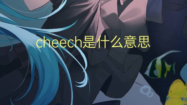 cheech是什么意思 cheech的翻译、读音、例句、中文解释