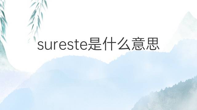 sureste是什么意思 sureste的翻译、读音、例句、中文解释