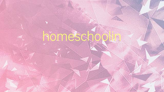 homeschooling是什么意思 homeschooling的翻译、读音、例句、中文解释