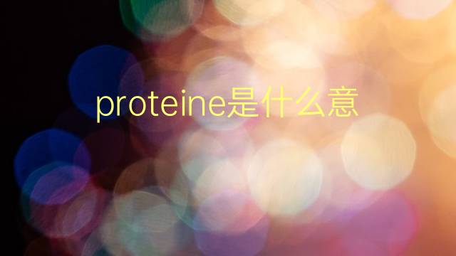 proteine是什么意思 proteine的翻译、读音、例句、中文解释