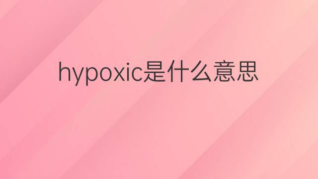 hypoxic是什么意思 hypoxic的翻译、读音、例句、中文解释