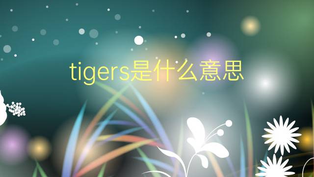 tigers是什么意思 tigers的翻译、读音、例句、中文解释