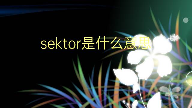 sektor是什么意思 sektor的翻译、读音、例句、中文解释