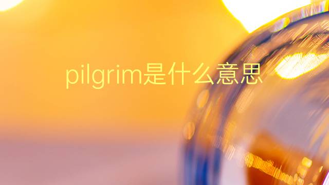 pilgrim是什么意思 pilgrim的翻译、读音、例句、中文解释