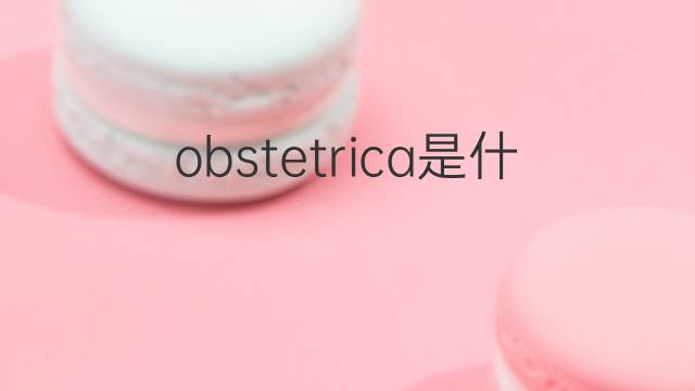 obstetrica是什么意思 obstetrica的翻译、读音、例句、中文解释