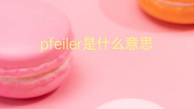 pfeiler是什么意思 pfeiler的翻译、读音、例句、中文解释